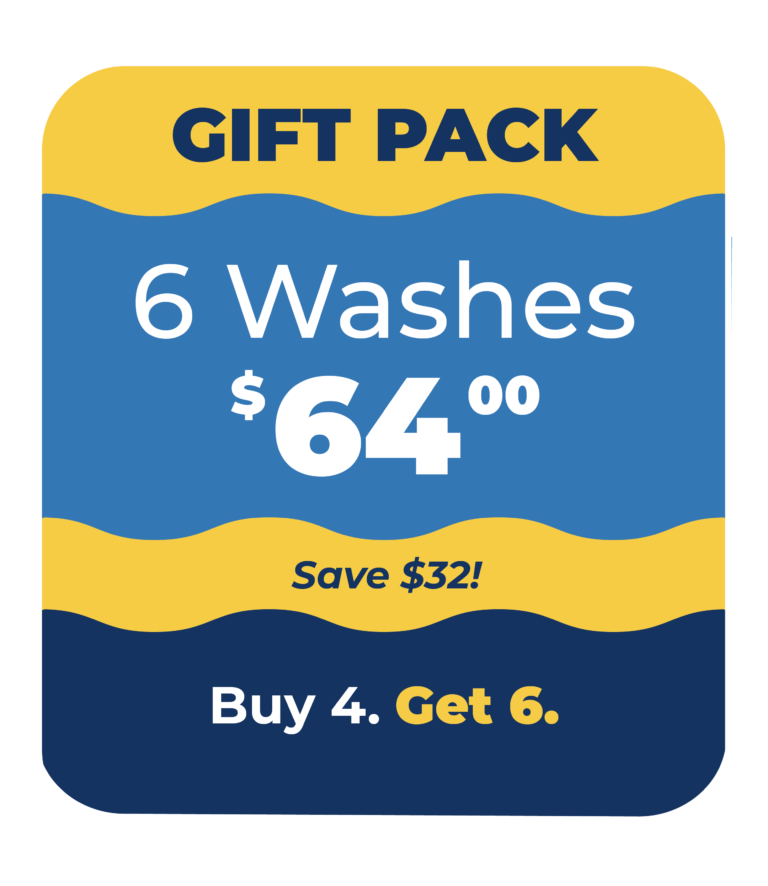 Gift Pack: 6 Washes $64 (Save $32). Buy 4, Get 6.